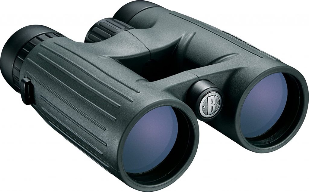 Bushnell Excursion HD 10x42 Binoculars Review BirdOculars